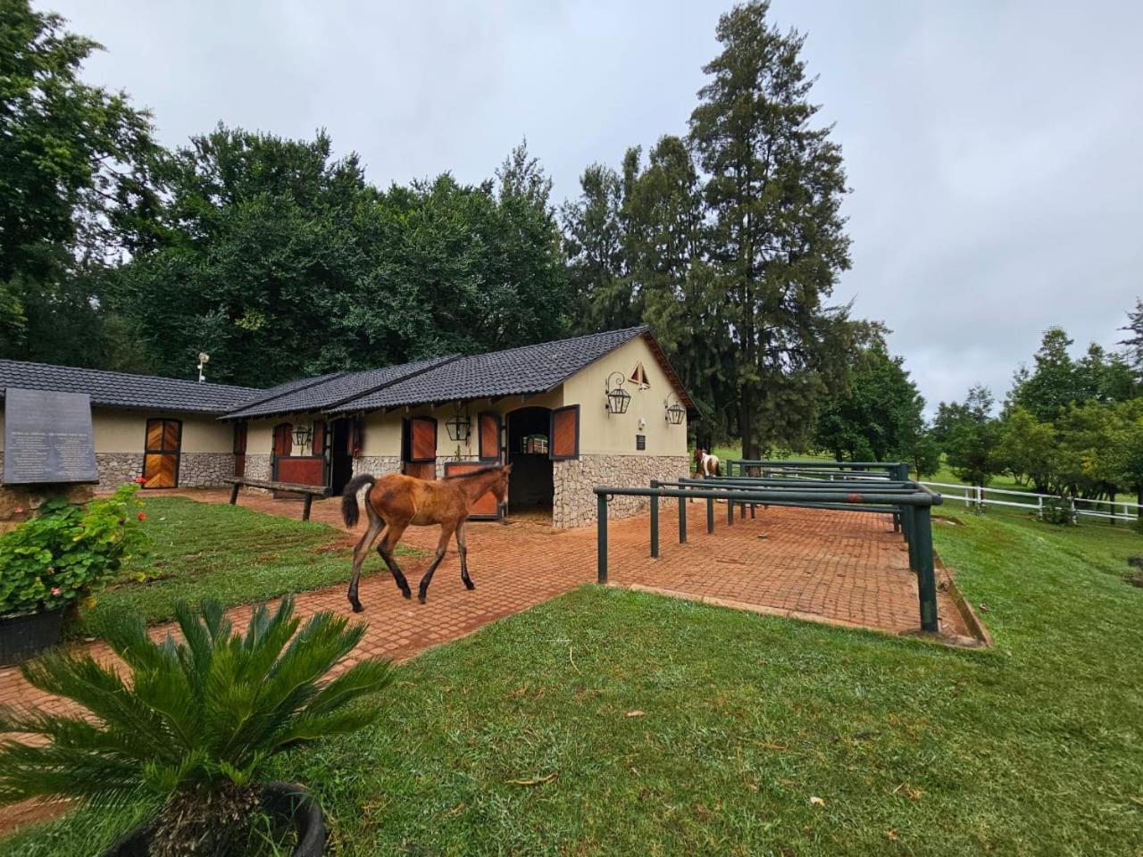 Farm stay Silver Mist Resort, Haenertsburg