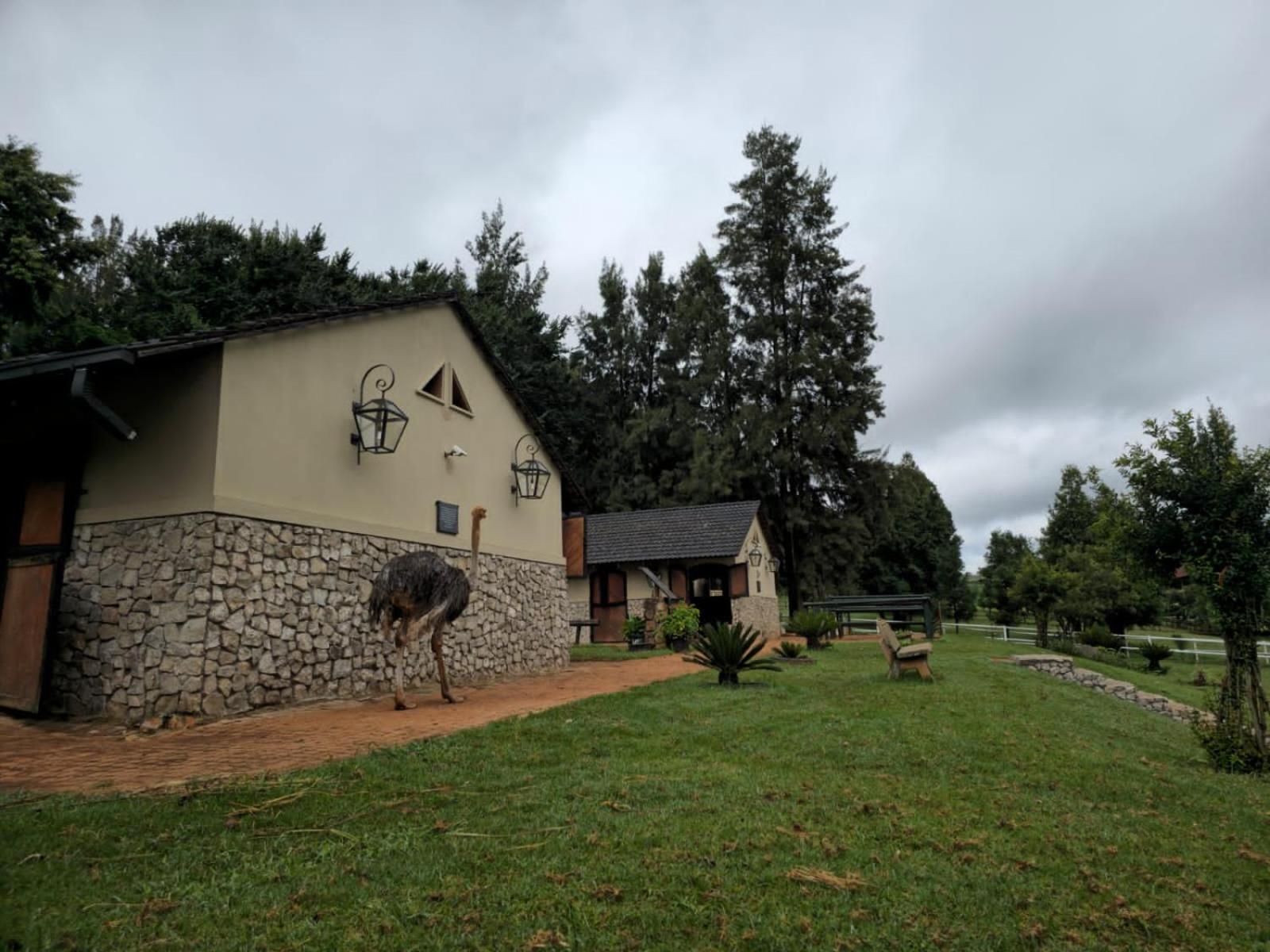 Farm stay Silver Mist Resort, Haenertsburg