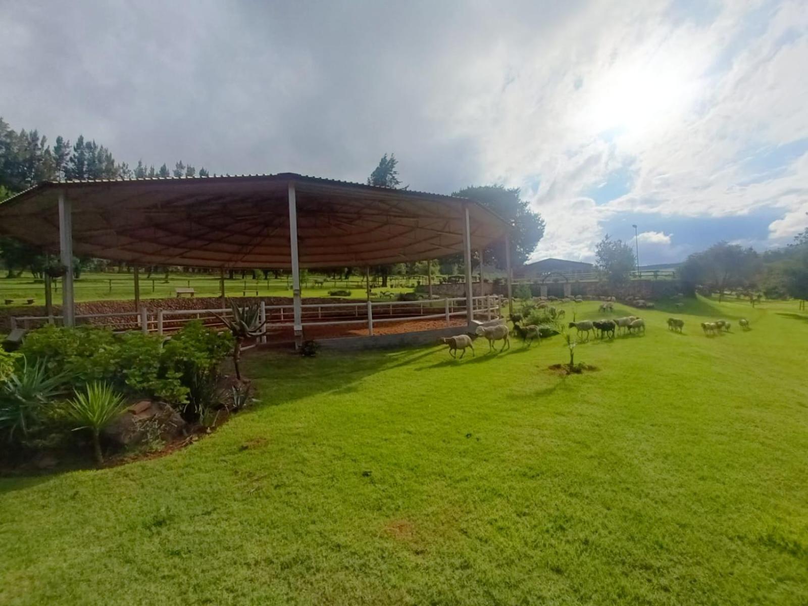 Farm stay Silver Mist Resort, *